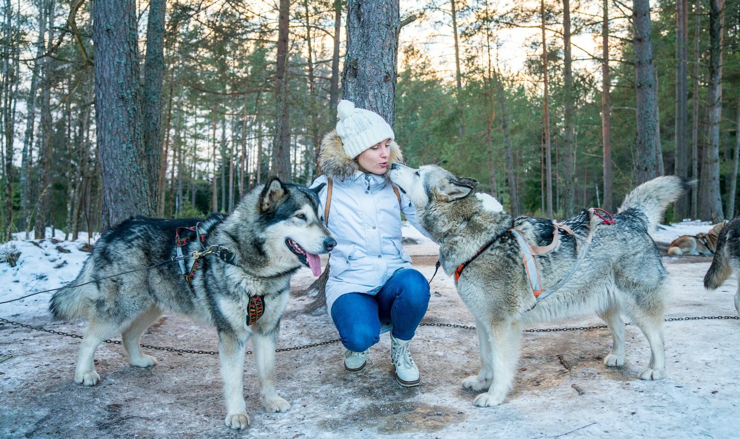 pre navidad laponia ruka filandia viaja con niños