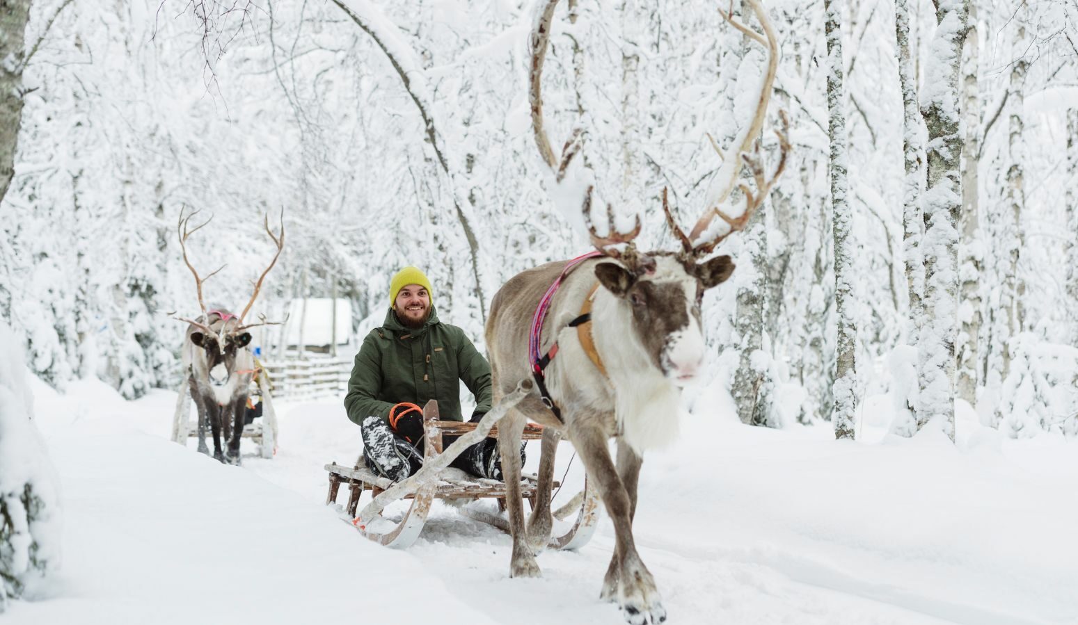 pre navidad laponia ruka filandia viaja con niños